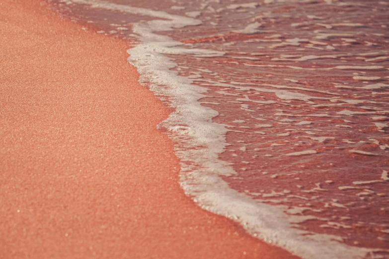 a bird standing on top of a beach next to the ocean, by Carey Morris, pexels contest winner, process art, soft red texture, in shades of peach, red liquid, vapourwave