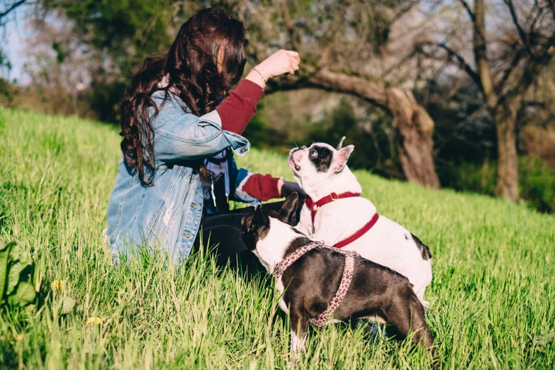 a woman sitting in the grass petting a dog, french bulldog, avatar image