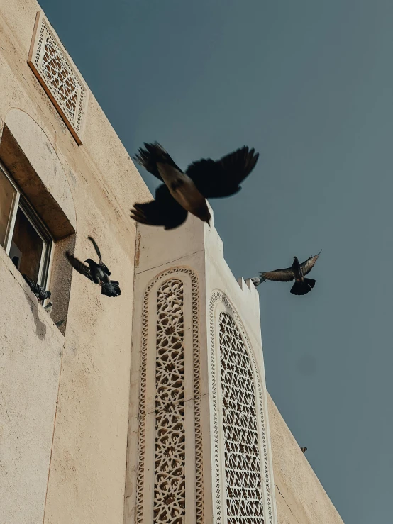 a flock of birds flying in front of a building, by Ahmed Yacoubi, pexels contest winner, arabesque, oman, three birds flying around it, trending on vsco, among ravens