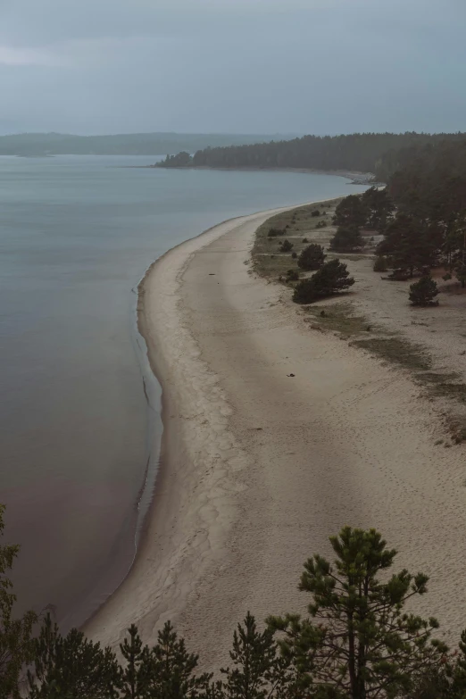 a sandy beach next to a body of water, by Grytė Pintukaitė, wide river and lake, beach, coastline, pine