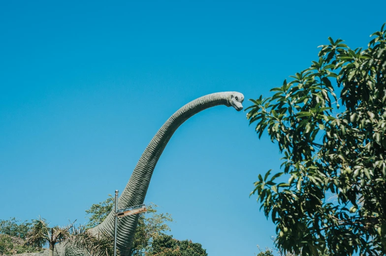 a large dinosaur standing next to a tree, unsplash, blue sky, long neck, top view, museum photo