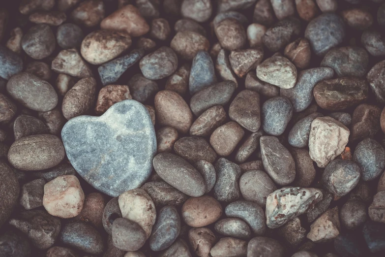 a heart shaped stone sitting on top of a pile of rocks, an album cover, inspired by Elsa Bleda, unsplash, 15081959 21121991 01012000 4k, precious moments, beans, my heart is human
