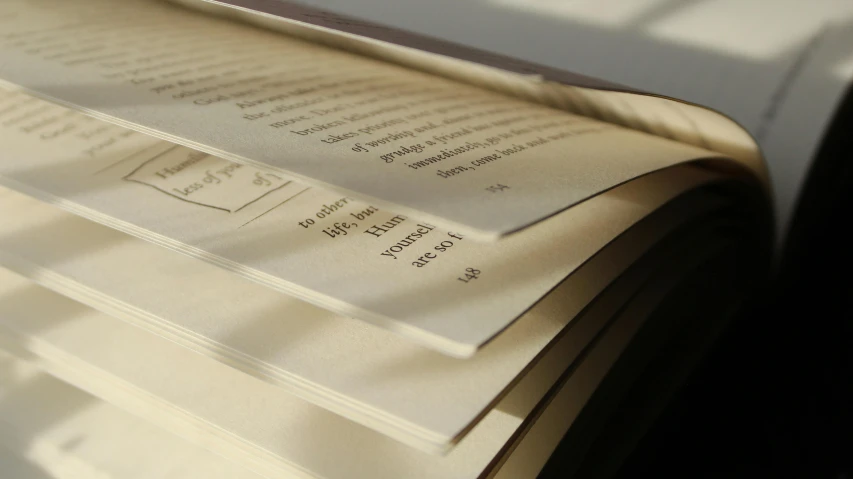 an open book sitting on top of a table, private press, parchment paper, spines, thumbnail, up close