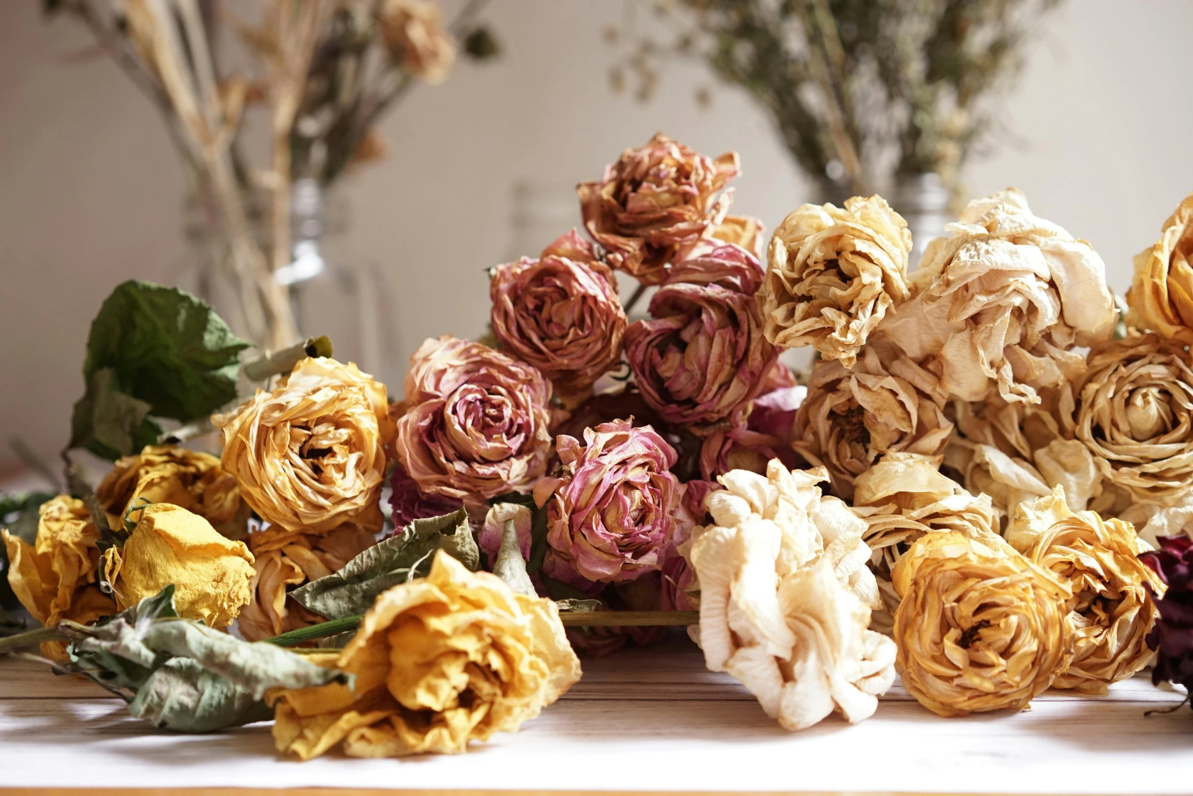 a bunch of dried flowers sitting on top of a table, baroque, slide show, large rose flower head, curated collection, from left