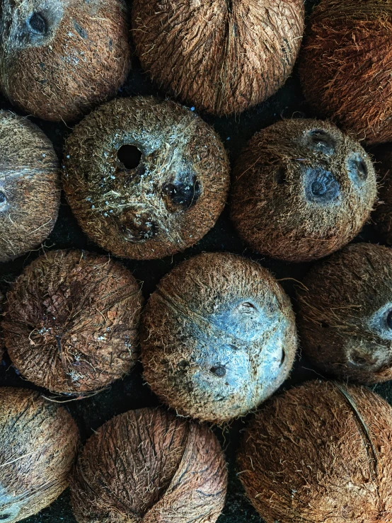 a pile of coconuts sitting on top of a table, unsplash, kaleidoscopic, thumbnail, background image, burned