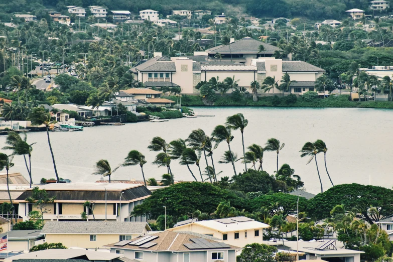 a large body of water surrounded by palm trees, white houses, hawaii, instagram photo, turbulent