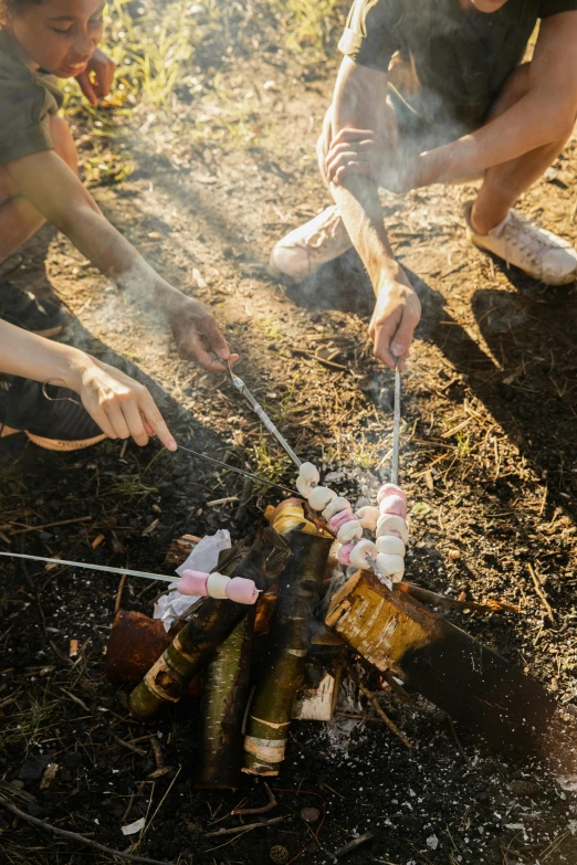 two people roasting marshmallows over a campfire, by Jessie Algie, pexels contest winner, land art, edible, high angle shot, pink, “ iron bark