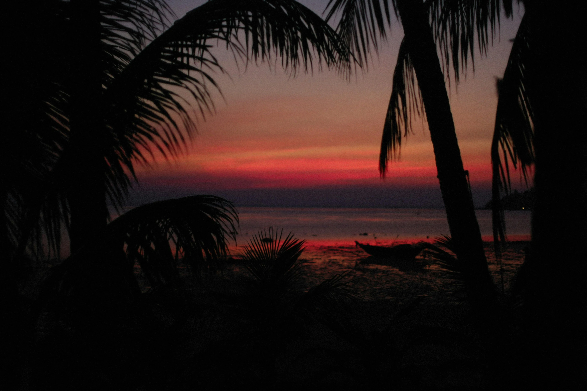 a sunset on the beach with palm trees in the foreground, pexels contest winner, romanticism, red glow in sky, thawan duchanee, taken in the late 2000s, photo on iphone