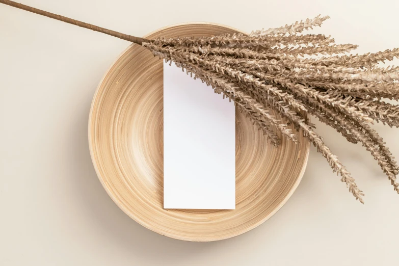 a piece of paper sitting on top of a wooden bowl, trending on unsplash, conceptual art, phragmites, photoshoot for skincare brand, restaurant menu photo, beige color scheme