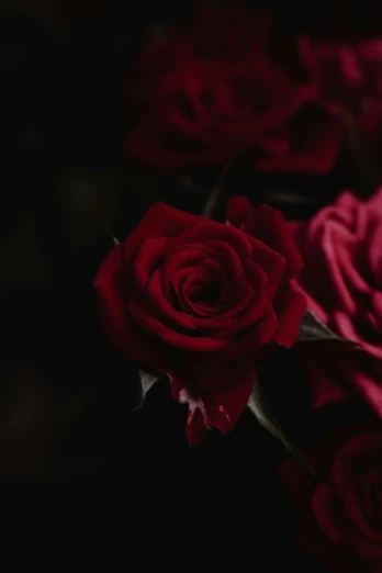 a bunch of red roses sitting on top of a table, inspired by Elsa Bleda, pexels contest winner, dark hues, upclose, close together, single