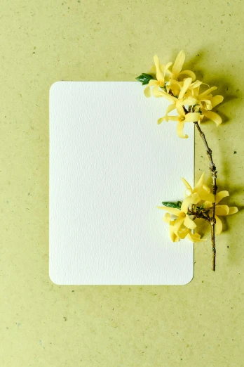 a piece of paper with yellow flowers on it, unsplash, postminimalism, card art, full body image, trending photo, made of silk paper
