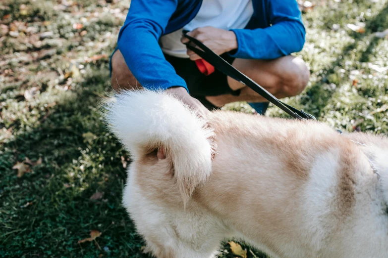 a man kneeling down with a dog on a leash, pexels contest winner, sydney park, thumbnail, thick fluffy tail, scratches on photo