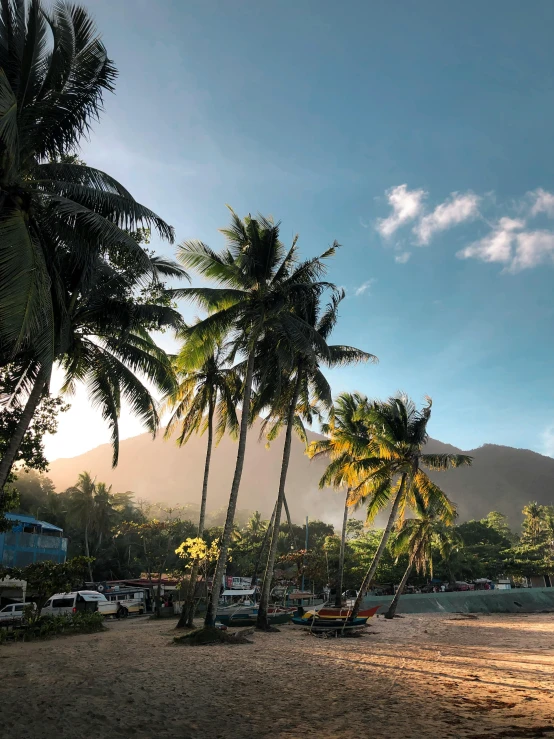 a sandy beach with palm trees and a mountain in the background, stacked image, small port village, sunlight beaming down, trees in the background