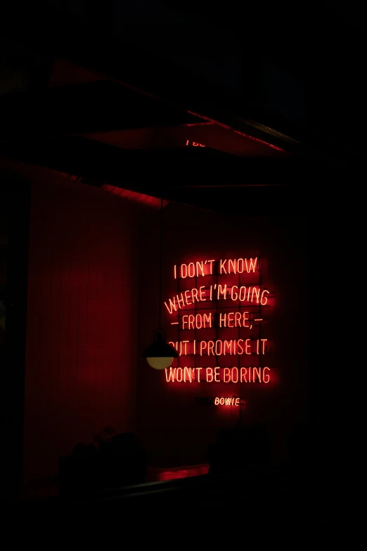 a neon sign that says i don't know where i'm missing from here, i'm promise it won't be boring, a picture, by Jessie Algie, happening, darkness aura red light, andrew gonzalez, burned, in a pitch black room