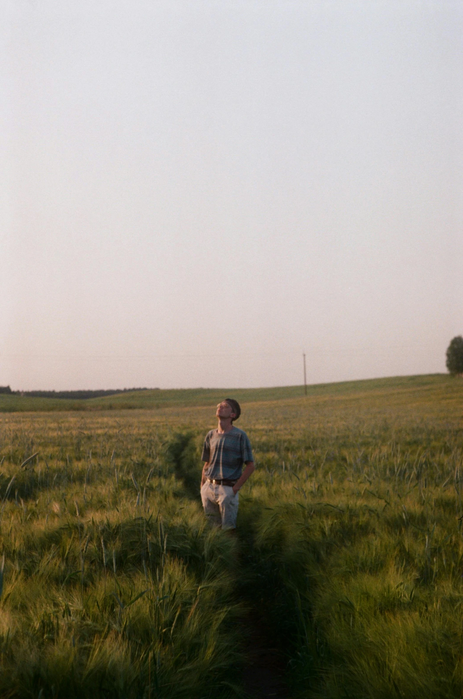 a man standing in a field of tall grass, inspired by Gregory Crewdson, 35mm film still from 1989, (golden hour), very poor quality of photography, the panorama