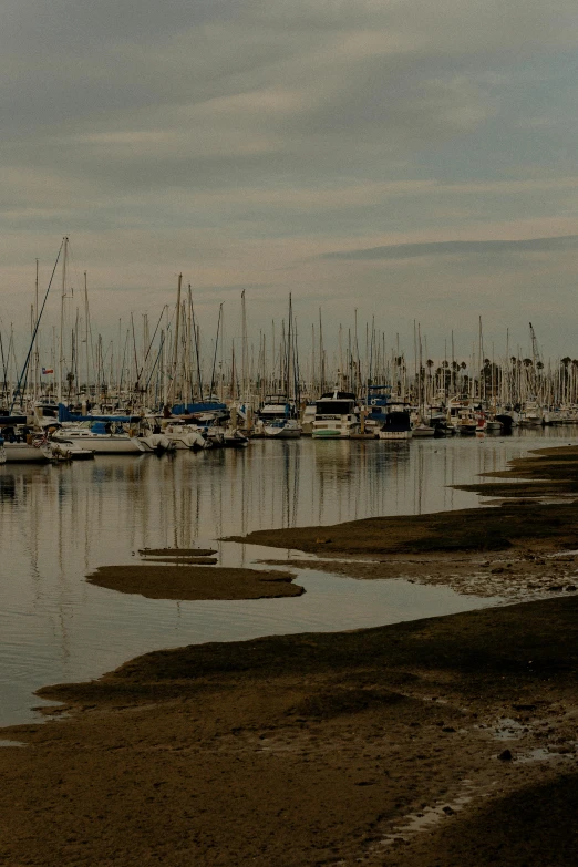 a body of water filled with lots of boats, a picture, unsplash, renaissance, long beach background, bored ape yacht club, ignant, today\'s featured photograph 4k