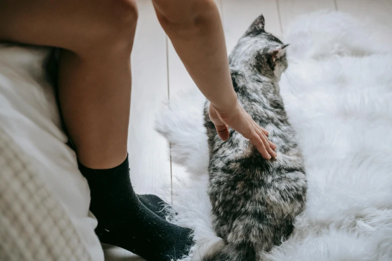 a person sitting on a bed petting a cat, by Julia Pishtar, trending on pexels, fur covered legs, standing over a fallen foe, gray mottled skin, liquid cat