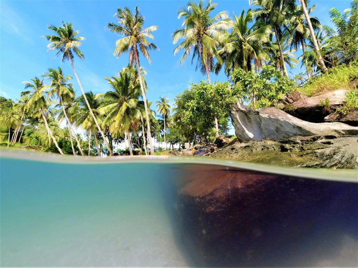 an underwater view of a beach with palm trees, unsplash, photorealism, ((fish eye)), gopro footage