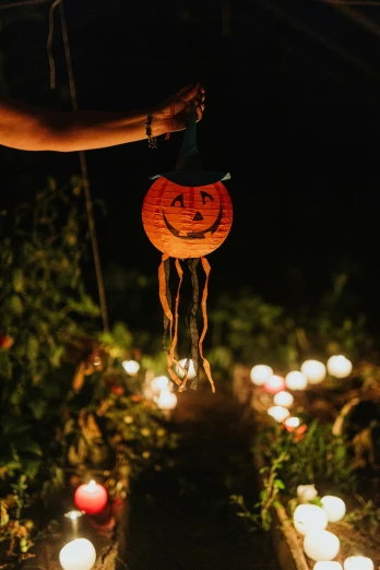 a person holding a pumpkin lantern in a garden, jungle vines and fireflies, party lights, slide show, light mode