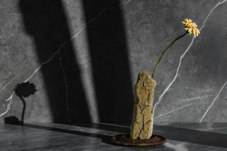 a close up of a flower in a vase on a table, a marble sculpture, inspired by Diego Giacometti, minimalism, on a dark rock background, sun beam, keng lye, stone slab