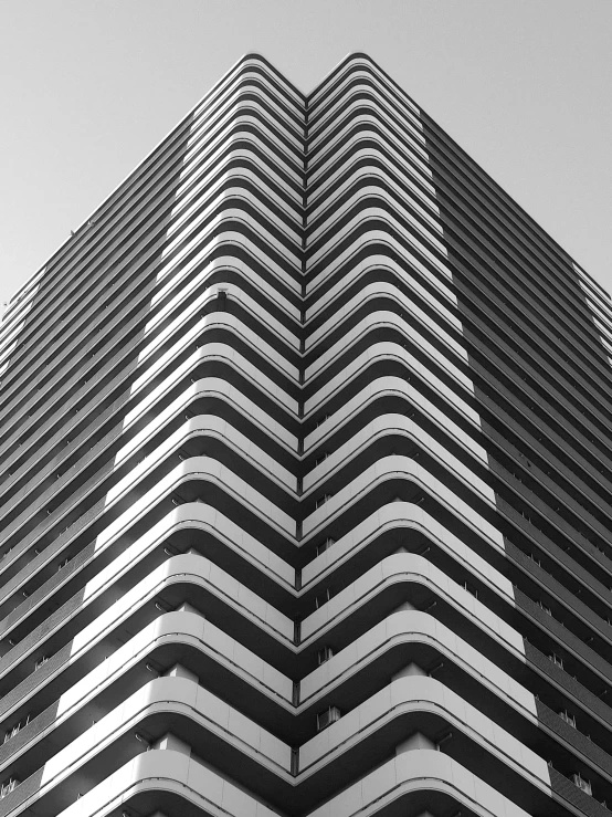 a black and white photo of a tall building, by Andrei Kolkoutine, unsplash, clear lines!!, crisp lines and color, very detailed curve, by greg rutkowski