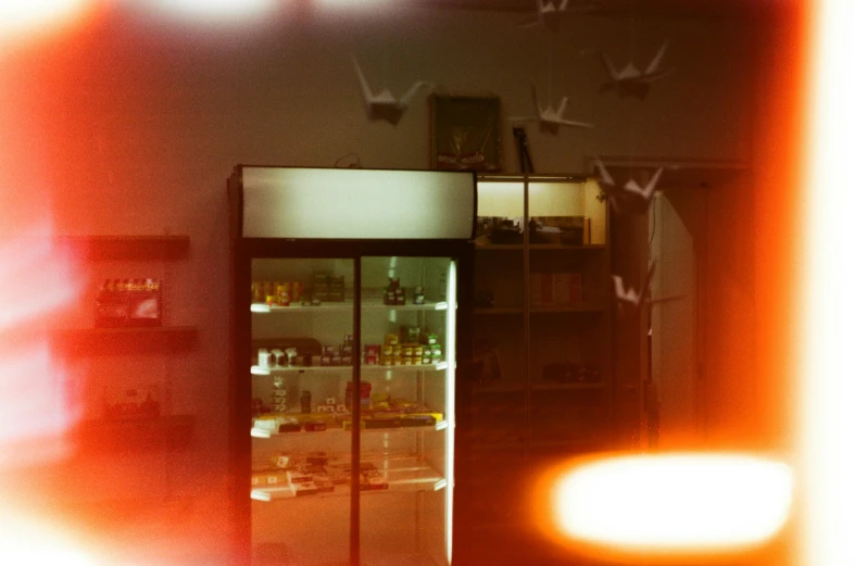 a view of a store through a glass door, inspired by Elsa Bleda, burning, in a butcher shop, buzzing fluorescent lights, cabinet of curiosities