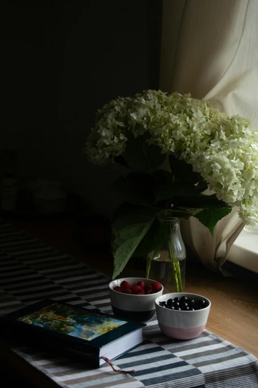 a vase of flowers sitting on top of a table next to a window, a still life, inspired by Robert Mapplethorpe, unsplash, berries, back lit lighting, hydrangea, snacks