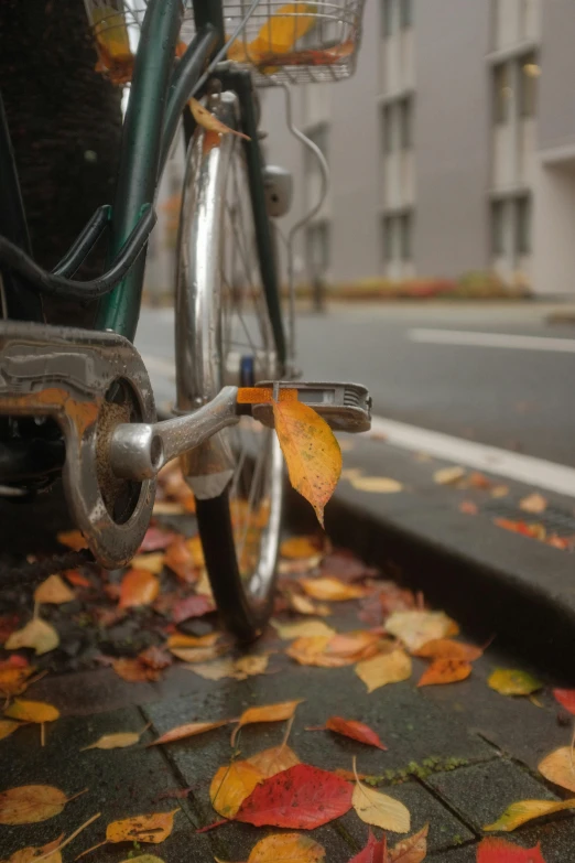 a bicycle parked on the side of a street, by Sven Erixson, pexels contest winner, falling leaves, seattle, detail shot, multi-part