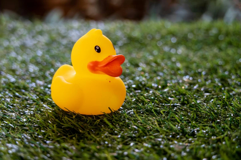 a yellow rubber duck sitting in the grass, lit up, fake grass, high quality product image”, fan favorite