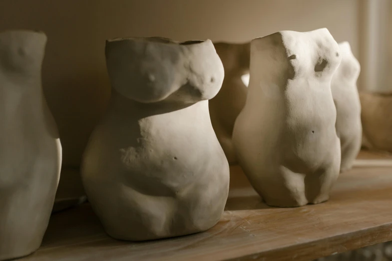 a group of vases sitting on top of a wooden shelf, inspired by Sarah Lucas, new sculpture, focus on torso, medium shot of two characters, thick thick thick outlines, evening lighting