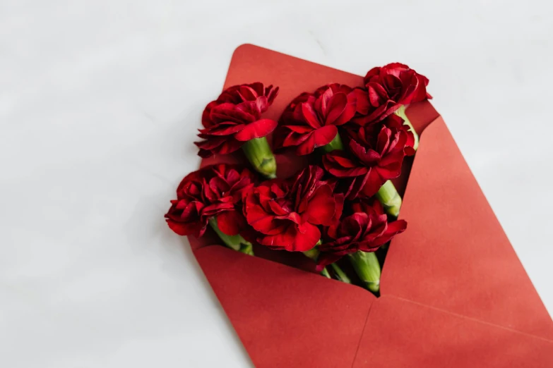 a red envelope with a bunch of red carnations in it, by Julia Pishtar, pexels contest winner, romanticism, diecut, loving embrace, instagram post, minimalist