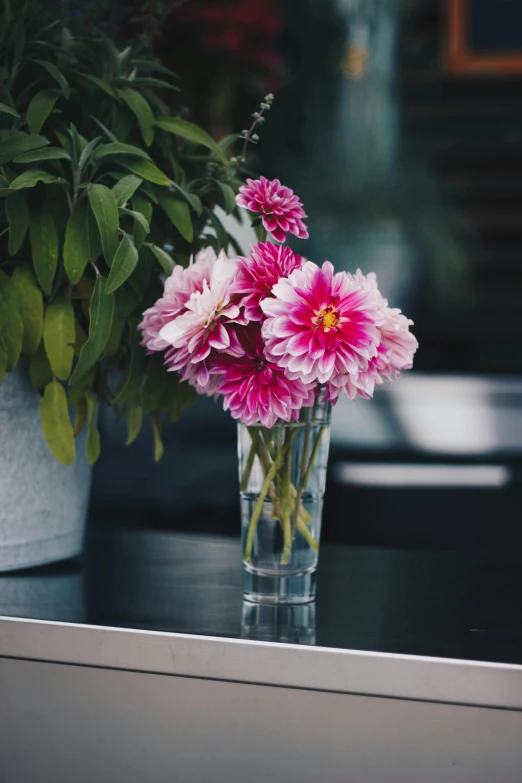 a vase filled with pink flowers sitting on top of a table, unsplash, on kitchen table, dahlias, high resolution photo, highly polished