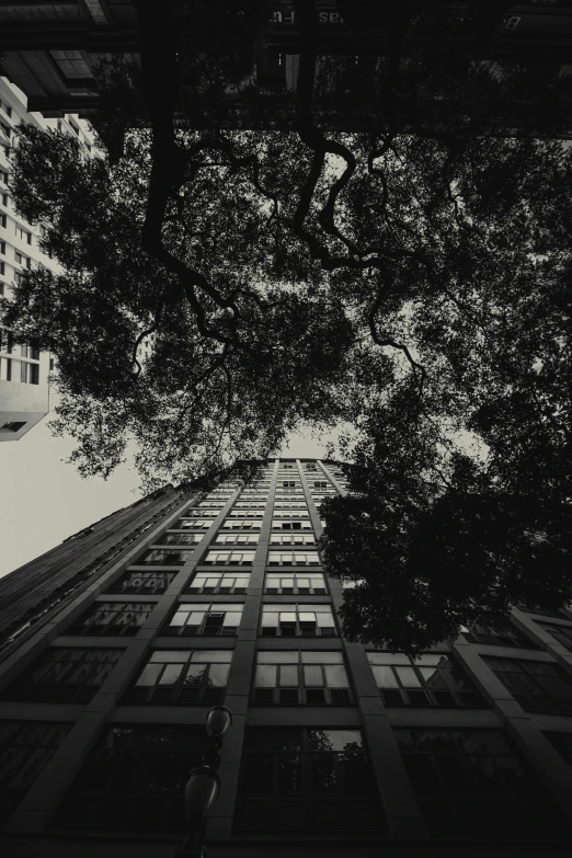 a black and white photo of a tall building, a black and white photo, unsplash contest winner, ((trees)), são paulo, wide angle 1981, green square