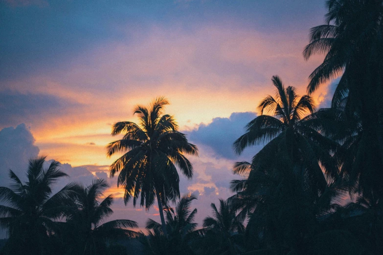 a sunset with palm trees in the foreground, pexels contest winner, sumatraism, lo - fi colors, instagram post, coconuts, over the tree tops