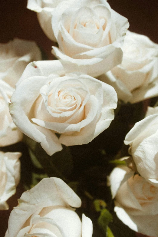 a bunch of white roses in a vase, a digital rendering, by Hyman Bloom, trending on unsplash, romanticism, detail shot, full sun, velvet, low detail