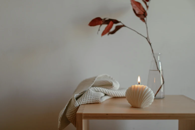 a candle sitting on top of a table next to a vase, a still life, unsplash, minimalism, sea shell, soft light - n 9, autumnal, ad image
