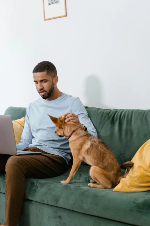 a man sitting on a couch with a dog and a laptop, trending on pexels, renaissance, mixed animal, romantic lead, 9, riyahd cassiem