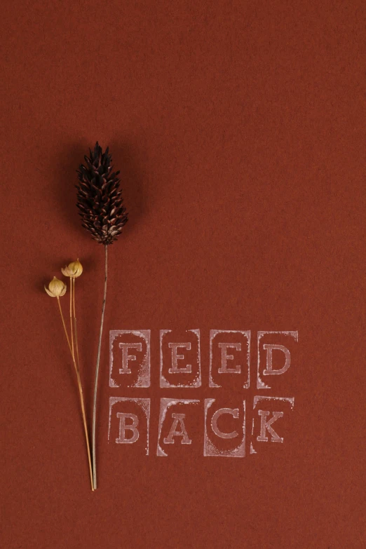 a pine cone sitting on top of a brown surface, an album cover, inspired by Anna Boch, unsplash contest winner, feedback loop, his back is turned, lettering, w