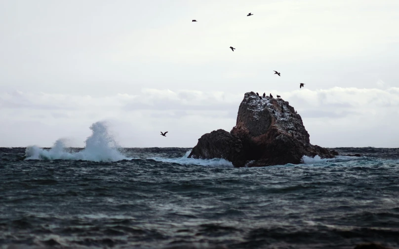 a group of birds flying over a body of water, by Roar Kjernstad, unsplash, romanticism, big sharp rock, rough seas, medium format, island