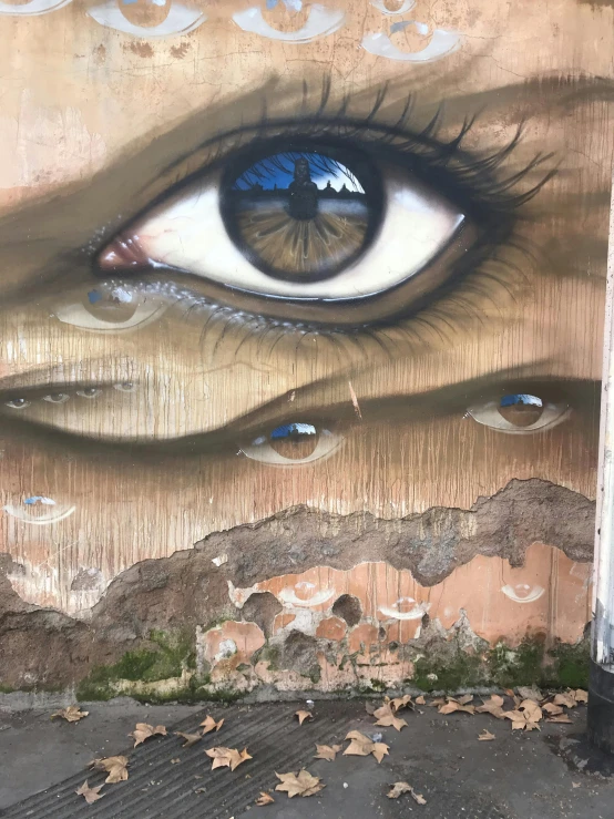 a fire hydrant sitting in front of a wall with a painting on it, by Nándor Katona, pexels contest winner, street art, a close up shot of a crying eye, ultradetailed mural, taken on an iphone, giant eyeballs