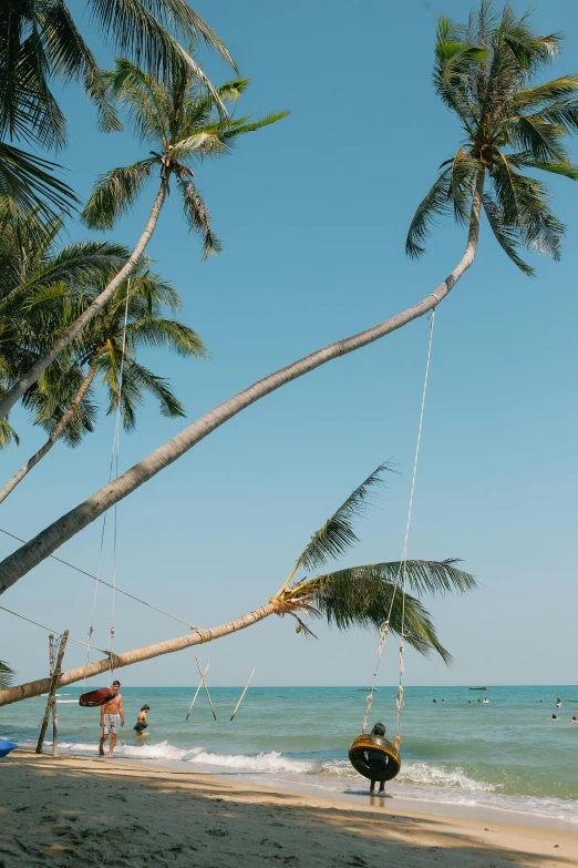 a group of people standing on top of a beach next to the ocean, coconut trees, swing on a tree, thawan duchanee, flatlay