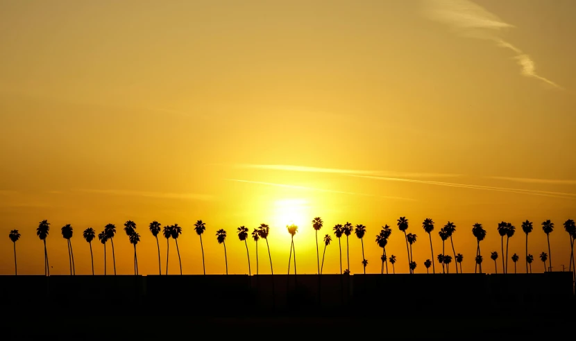 a group of palm trees are silhouetted against the setting sun, by Dave Melvin, minimalism, ((sunset)), photographic print, highway, suns