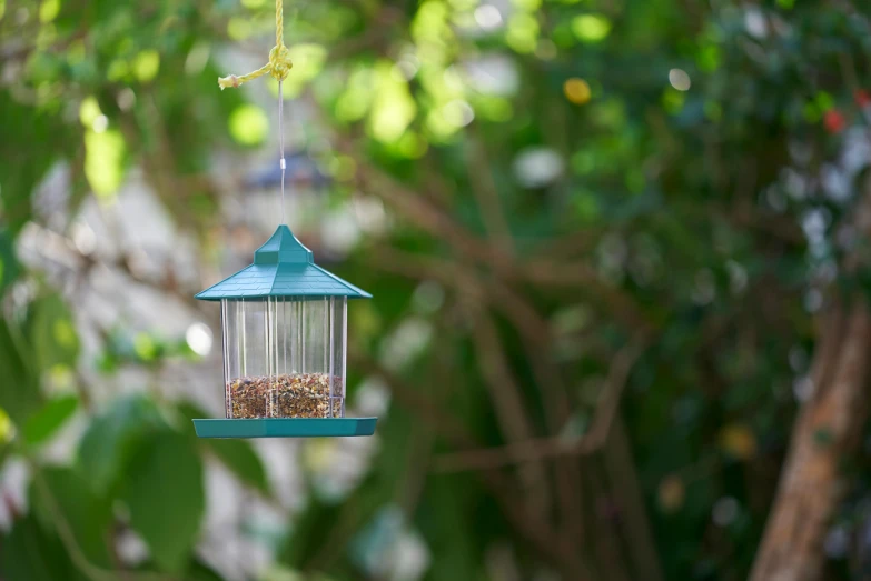 a bird feeder hanging from a tree branch, by Paul Bird, unsplash, square, mini model, pagoda, emerald