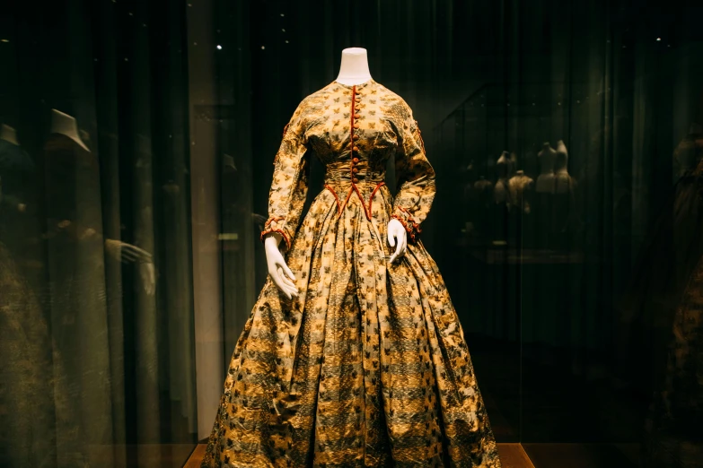a dress on display in a glass case, inspired by Anna Füssli, trending on unsplash, renaissance, wearing 1 8 5 0 s clothes, gold cloth, in australia, patterned clothing