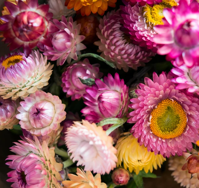 a close up of a bunch of flowers in a vase, pink and orange, ari aster, coloured with lots of colour, market