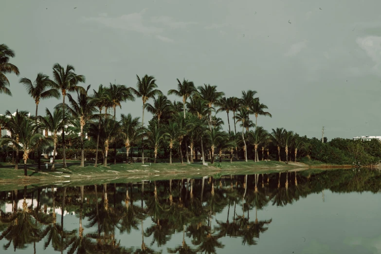 a body of water surrounded by palm trees, by Elsa Bleda, pexels contest winner, hurufiyya, mar-a-lago, reflective water, listing image, lot of trees