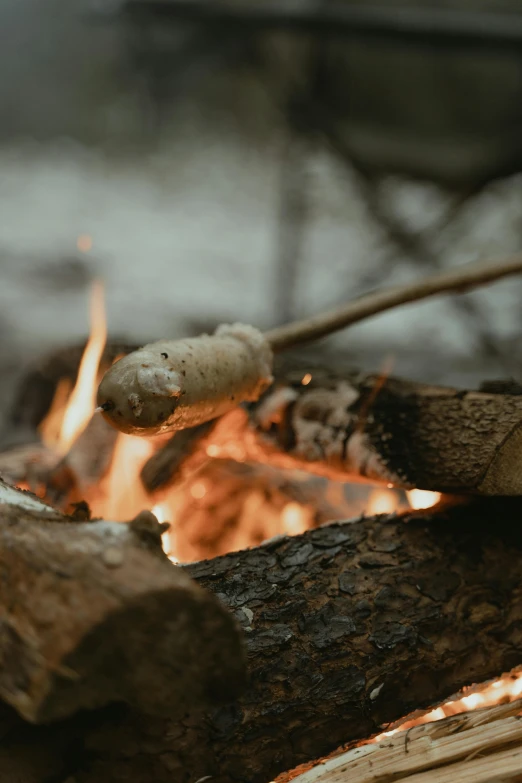 a person roasting marshmallows over a campfire, pexels contest winner, conceptual art, bread, subtle detailing, white, wood