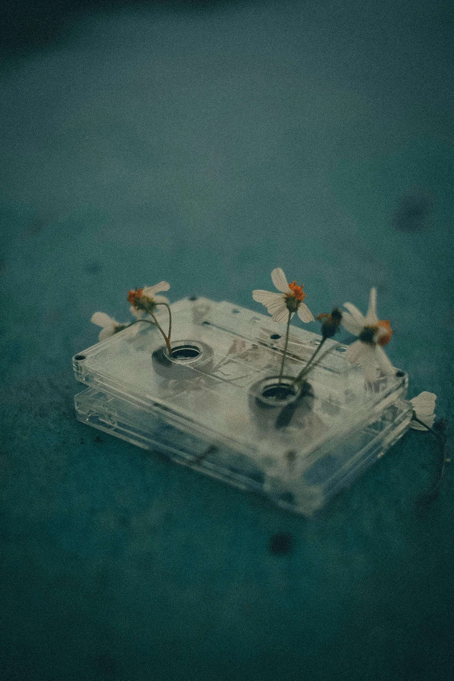 a piece of tape sitting on top of a table, an album cover, inspired by Elsa Bleda, unsplash contest winner, tiny insects, wilted flowers, vintage transistors, miniatures