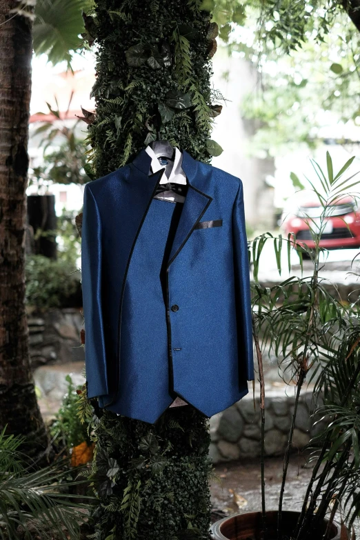 a suit hanging on a tree next to a potted plant, blue colored traditional wear, wearing blue jacket, thumbnail, on display