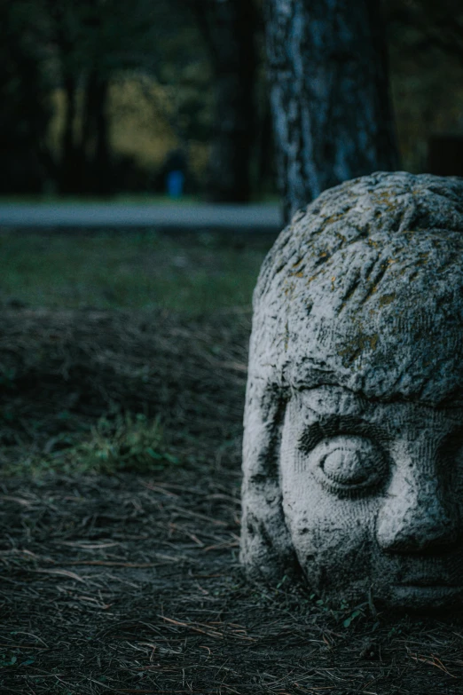 a stone head sitting in the middle of a forest, unsplash, concrete art, evil eyes, in the evening, parks, 8k 50mm iso 10